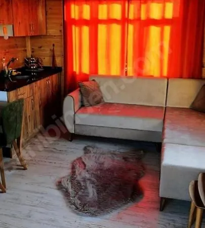 Denize 300 Mt Camlik Icinde Bahceli Muestakil Ev Hotel